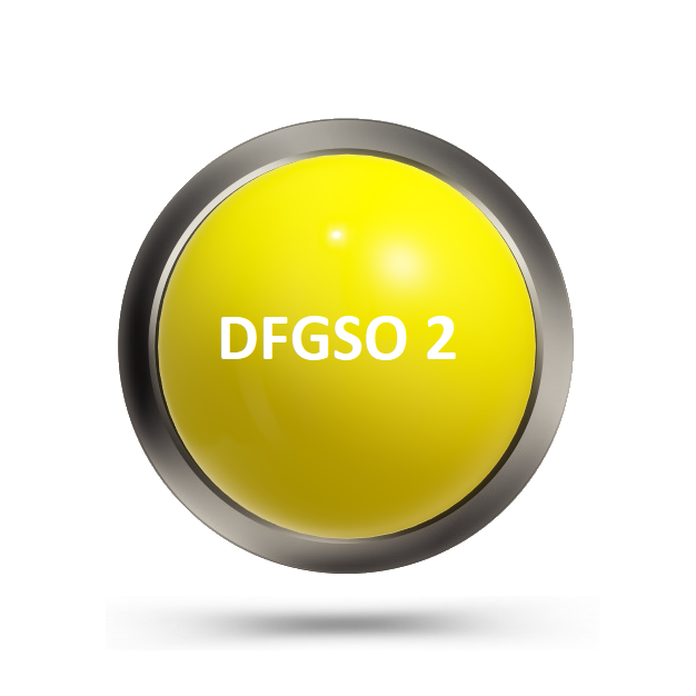 DFGSO 2