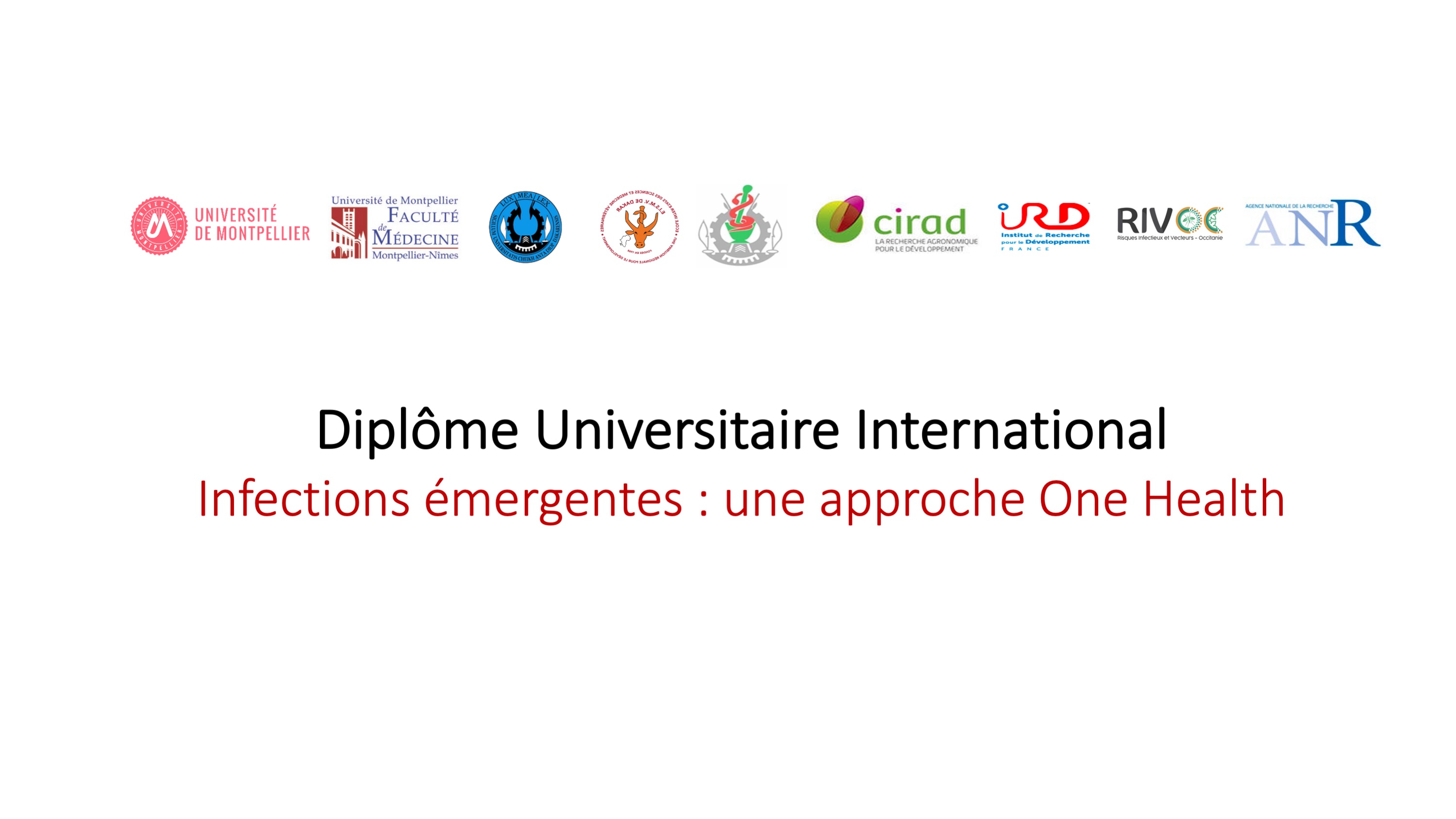 Diplôme Universitaire International