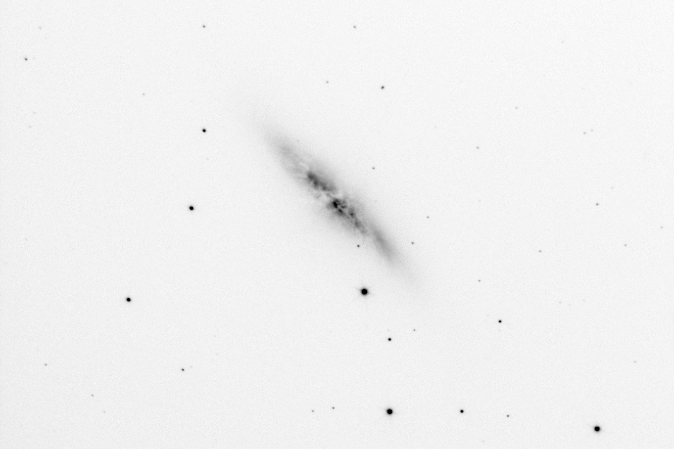Galaxie irrégulière Messier 82 (négatif)