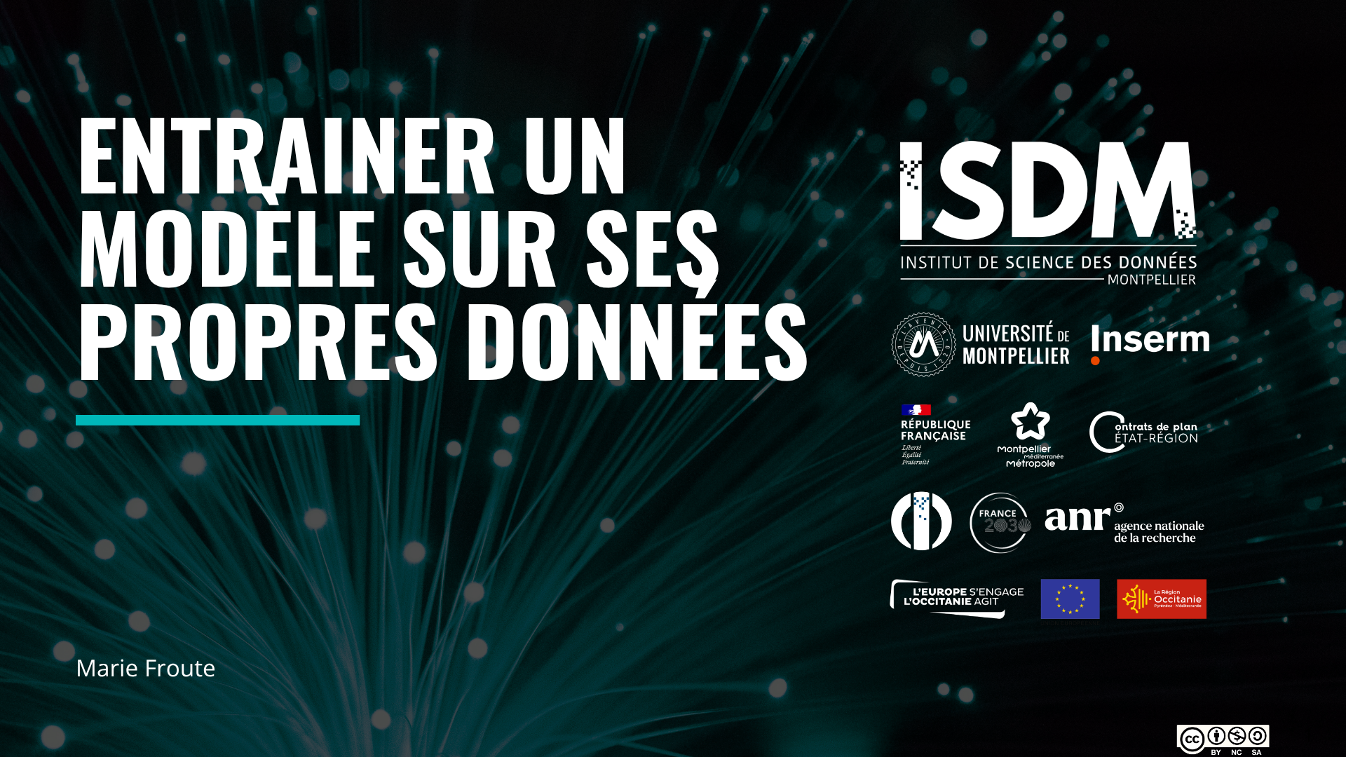 Diapositive de présentation. Entrainer un modèle sur ses propres données.