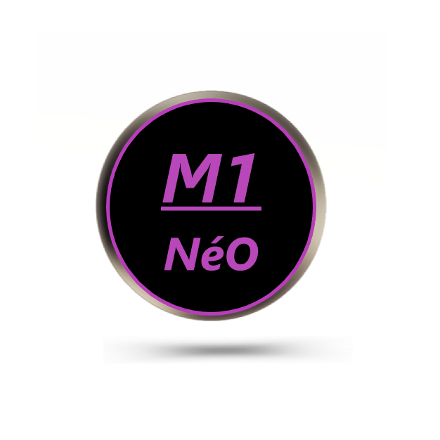 M1