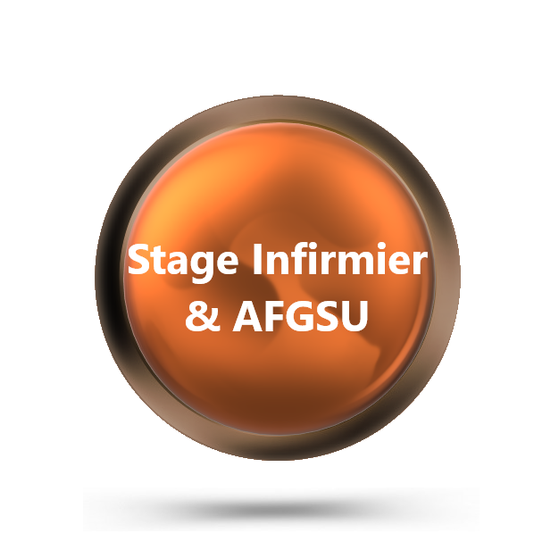 Stage Infirmier & AFGSU