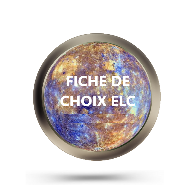 FICHE DE CHOIX ELC 