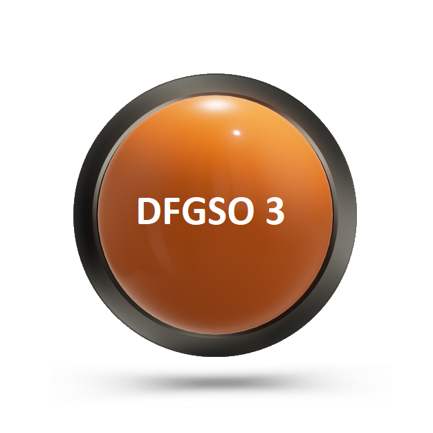 DFGSO 3